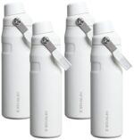 Stanley IceFlow Flip Straw 2.0 Water Bottle 24 OZ | Built-In Straw with Larger Opening | Lightweight & Leak-Resistant |