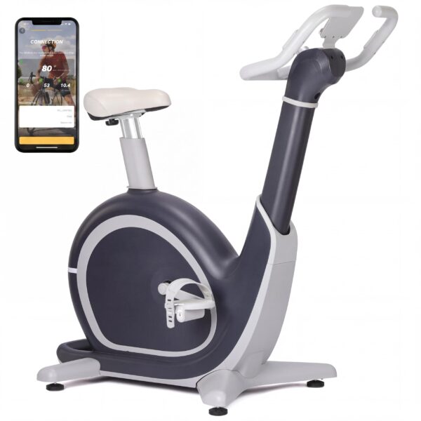 Bicicleta Estatica Magnetica MERXENG Ajuste Electrico Capacidad 350 Libras Ultra Silenciosa Resistencia Magnetica Conect
