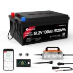 EnerVast 48V (51.2V) 100Ah LiFePO4 Lithium Golf Cart Battery, 200A BMS 8000+ Cycles Lifepo4 Battery with Charger, Blueto