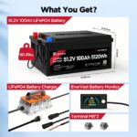 EnerVast 48V (51.2V) 100Ah LiFePO4 Lithium Golf Cart Battery, 200A BMS 8000+ Cycles Lifepo4 Battery with Charger, Blueto