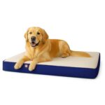 Cama Ortopédica para Perro Majestic Pet 78899561482 48x34x3 Pulgadas Azul Espuma Memory Foam Rectangular