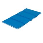 Tapete de Siesta Children's Factory CF400-053 Paquete de 5 Azul 2 Pulgadas Grosor