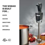 Waring (WSB40) Licuadora de inmersión Quik Stik Plus de servicio mediano de 10 pulgadas, negro/plata
