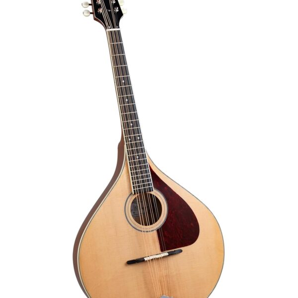 Trinity College Mandolina de octava celta TM-325 con bolsa de concierto – Tapa de abeto Sitka maciza, parte trasera y la