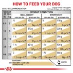 Alimento para Perros Royal Canin Veterinary Diet Canine Urinary SO Adult Loaf in Sauce Sabor Pollo Paquete de 24 Latas 1