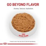 Alimento para Perros Royal Canin Veterinary Diet Canine Urinary SO Adult Loaf in Sauce Sabor Pollo Paquete de 24 Latas 1