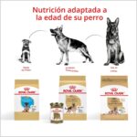 Alimento Seco Royal Canin para Cachorros Pastor Alemán Sabor Pollo Bolsa de 30 lb