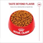 Alimento Seco Royal Canin para Cachorros Pastor Alemán Sabor Pollo Bolsa de 30 lb