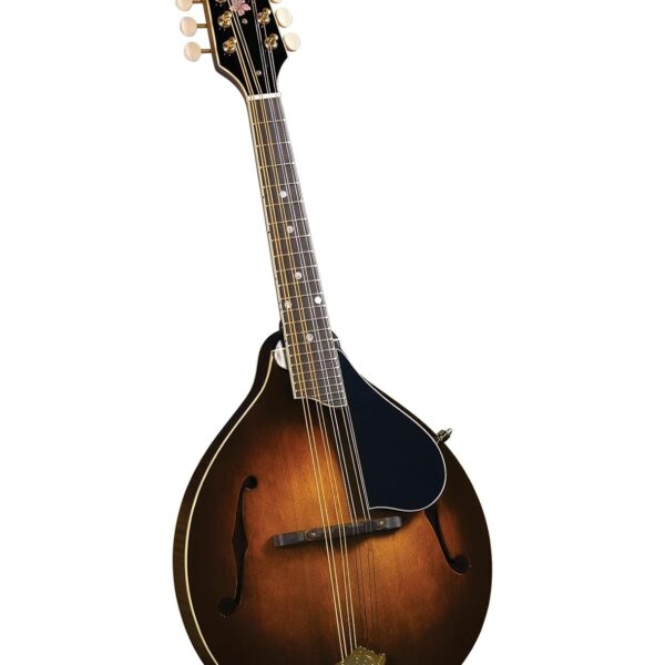 Kentucky, Mandolina de 8 cuerdas, derecha, Vintage Sunburst (KM-500)