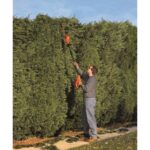 Podadora de Seto con Poste Black+Decker LPHT120 20V MAX 18 pulgadas Inalámbrica