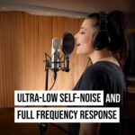 Rode NT2A Anniversary Vocal Multi-Pattern Dual Condenser Micrófono Paquete