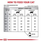 Alimento Seco para Gatos Royal Canin Veterinary Diet Proteína Hidrolizada Hipoalergénica HP Bolsa 17.6 Libras