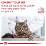 Alimento Seco para Gatos Royal Canin Veterinary Diet Proteína Hidrolizada Hipoalergénica HP Bolsa 17.6 Libras