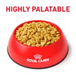 Alimento Seco para Gatos Royal Canin Veterinary Diet Proteína Hidrolizada Hipoalergénica HP Bolsa 17.6 Libras