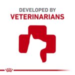 Alimento Seco para Gatos Royal Canin Veterinary Diet Proteína Hidrolizada Hipoalergénica HP Bolsa 17.6 Libras