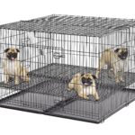 Corralito para Cachorros MidWest Homes for Pets 248-05 Rejilla de Piso de 1/2 Pulgada 48 x 48 x 30 Pulgadas