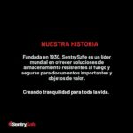 SentrySafe Caja de seguridad resistente al fuego, 1.2 pies cúbicos, SFW123DSB