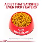 Alimento seco para perros adultos Royal Canin Urinary SO Moderate Calorie dieta veterinaria urinaria bolsa 17.6 libras