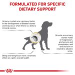 Alimento seco para perros adultos Royal Canin Urinary SO Moderate Calorie dieta veterinaria urinaria bolsa 17.6 libras
