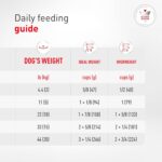 Alimento seco para perros adultos Royal Canin Urinary SO Moderate Calorie dieta veterinaria urinaria bolsa 17.6 libras