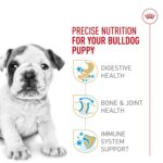 Alimento Seco Royal Canin Nutrición Sana para Raza Bulldog Cachorro Sabor Pollo 30 lb