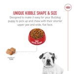 Alimento Seco Royal Canin Nutrición Sana para Raza Bulldog Cachorro Sabor Pollo 30 lb