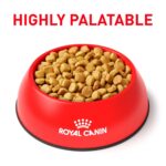 Alimento Seco Royal Canin Veterinary Diet Hydrolyzed Protein Moderate Calorie Modelo 476424 para Perros Adultos Bolsa 24