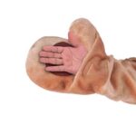 Disfraz de Mascota Forum Novelties F67324 Oso de Miel de Felpa Talla Única