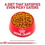 Alimento Seco Royal Canin Veterinary Diet Canine Weight Control Perros Grandes Sabor Pollo Bolsa 24.2 Libras