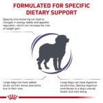 Alimento Seco Royal Canin Veterinary Diet Canine Weight Control Perros Grandes Sabor Pollo Bolsa 24.2 Libras