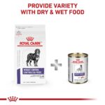 Alimento Seco Royal Canin Veterinary Diet Canine Weight Control Perros Grandes Sabor Pollo Bolsa 24.2 Libras