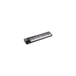 Roland Controlador de teclado MIDI ligero de 49 teclas, negro (A-49-BK)