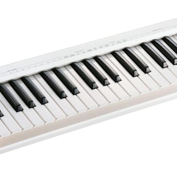 Roland Controlador de teclado MIDI ligero de 49 teclas, blanco (A-49-WH)