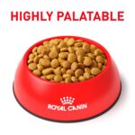 Alimento Seco para Gatos Royal Canin Feline Urinary SO Veterinary Diet Sabor Pollo 17.6 lb