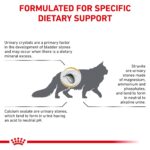 Alimento Seco para Gatos Royal Canin Feline Urinary SO Veterinary Diet Sabor Pollo 17.6 lb