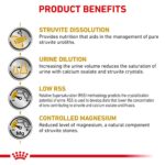 Alimento Seco para Gatos Royal Canin Feline Urinary SO Veterinary Diet Sabor Pollo 17.6 lb
