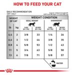 Alimento Seco para Gatos Royal Canin Feline Urinary SO Veterinary Diet Sabor Pollo 17.6 lb