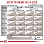 Alimento Húmedo para Perro Royal Canin Veterinary Diet Gastrointestinal Low Fat Paté 13.5 onzas Paquete de 24