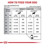 Alimento Seco para Perro Royal Canin Veterinary Diet Hydrolyzed Protein Adult PS 24.2 Libras