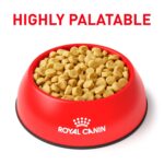 Alimento Seco para Perro Royal Canin Veterinary Diet Hydrolyzed Protein Adult PS 24.2 Libras
