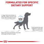 Alimento Seco para Perro Royal Canin Veterinary Diet Hydrolyzed Protein Adult PS 24.2 Libras