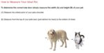Puerta para Mascotas de Ventana Ideal Pet Products Modelo 33SWDXL Aluminio Ajustable de 33 a 38 Pulgadas Solapa 10-1/2 x