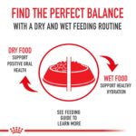 Alimento Seco Royal Canin Size Health Nutrition Large Adulto 5+ Perros Grandes Bolsa 30 Libras
