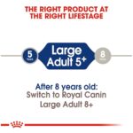 Alimento Seco Royal Canin Size Health Nutrition Large Adulto 5+ Perros Grandes Bolsa 30 Libras