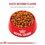 Alimento Seco Royal Canin Size Health Nutrition Large Adulto 5+ Perros Grandes Bolsa 30 Libras
