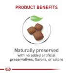 Alimento Seco Royal Canin Giant Junior para Cachorros de Raza Gigante Sabor Pollo Bolsa 30 Libras
