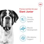 Alimento Seco Royal Canin Giant Junior para Cachorros de Raza Gigante Sabor Pollo Bolsa 30 Libras