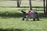 PICNIC TIME Adventure - Carro plegable plegable para exteriores, carrito portátil con ruedas, carrito todo terreno con c