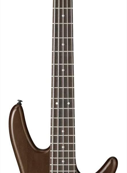 Ibanez GSR205BWNF GIO - Nogal Plano