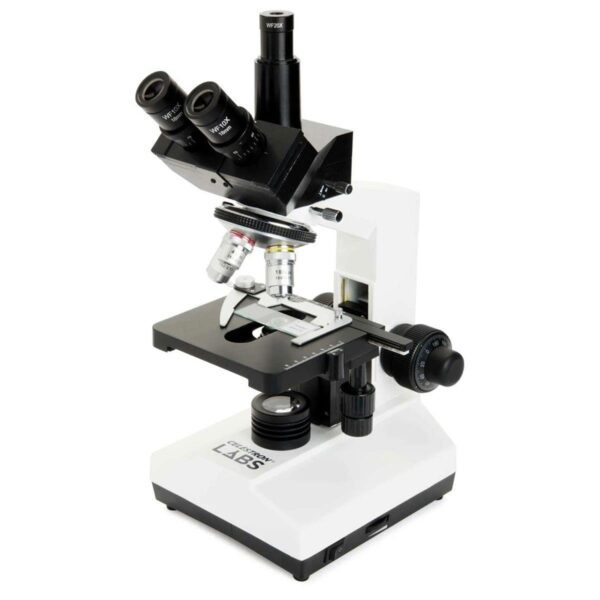 Celestron Celestron Labs - Microscopio compuesto de cabeza binocular - Aumento de 40-2000x - Etapa mecánica ajustable -